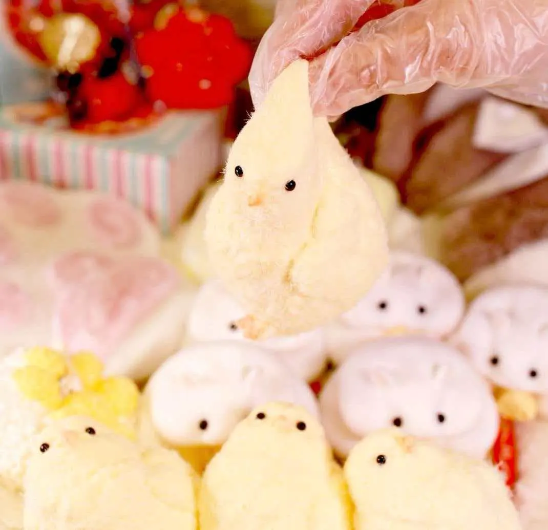 Chicken Squishy